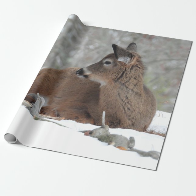 Fuzzy White Tails Hjort Fawn Presentpapper (Utrullad)