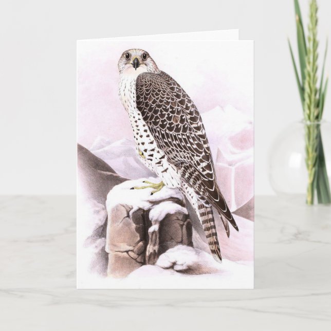 FV-BIRD FÖR FAST-anteckningskort I SNÖ Anteckningskort (Framsida)