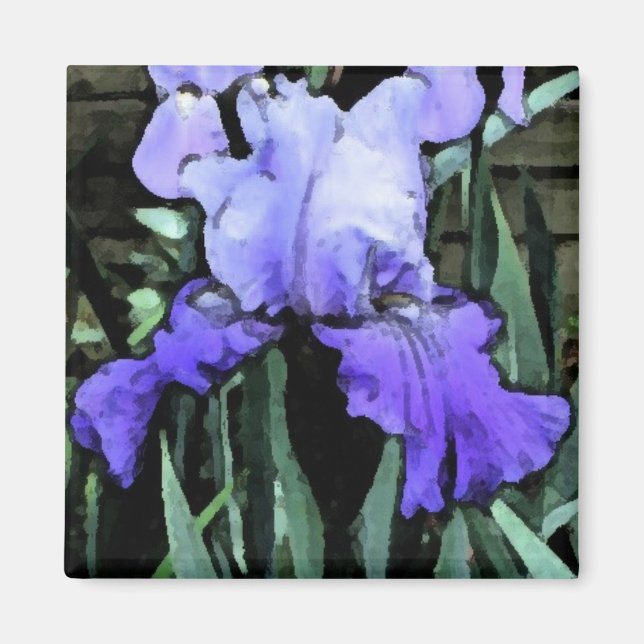 FX- Blue Iris Magnet (Framsidan)