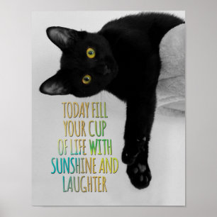 Fyll Kopp i en svart katt Motivational Quote Poster
