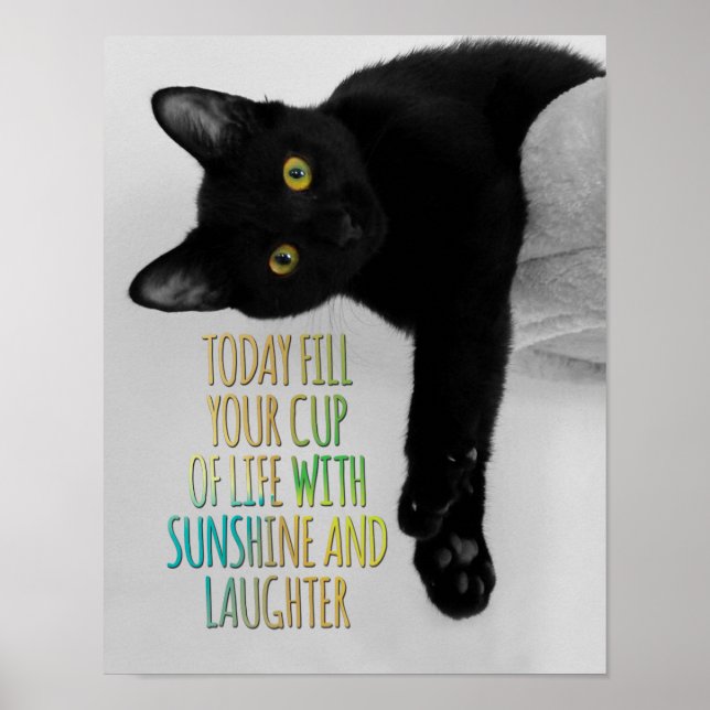 Fyll Kopp i en svart katt Motivational Quote Poster (Framsidan)