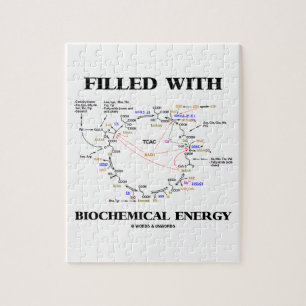 Fylld med biokemisk energi (kretslopp) pussel