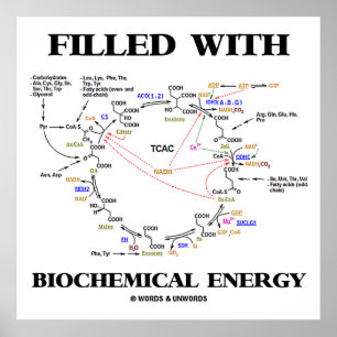 Fylld med biokemisk energi (kretsloppscykel) poster