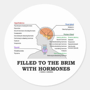 Fyllda till brimen med hormoner (anatomi) runt klistermärke