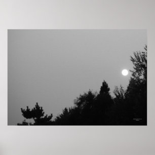 Fyllning: Poster naturområde/tabulator