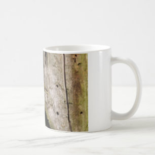 Fylloscopus collybita kaffemugg