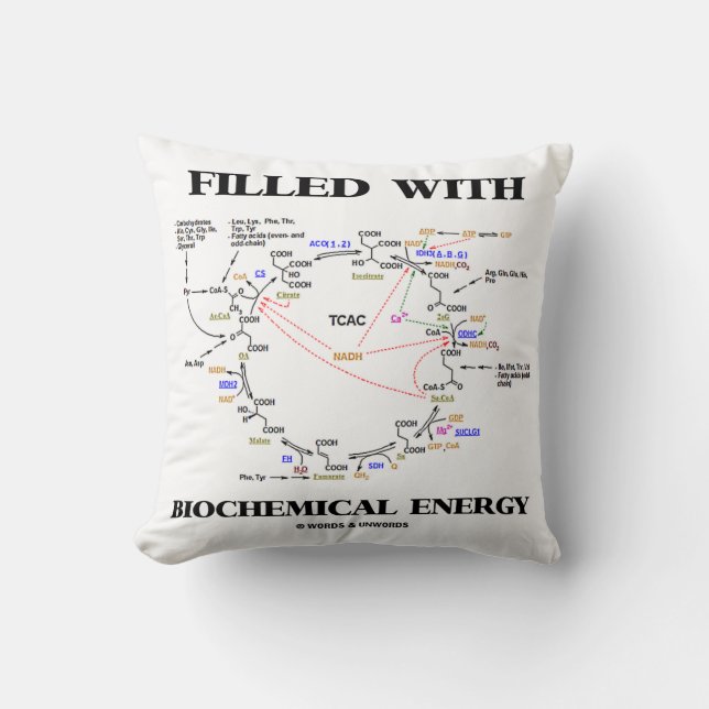 Fyllt med Biochemical energi (Krebs cyklar), Kudde (Framsida)
