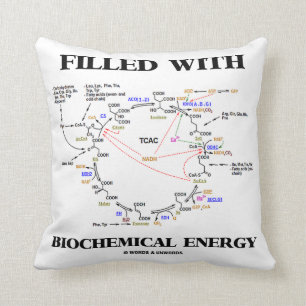 Fyllt med Biochemical energi (Krebs cyklar), Kudde