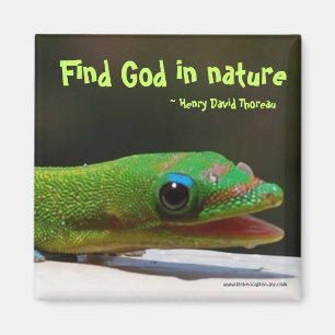 Fyndgud i natur magnet
