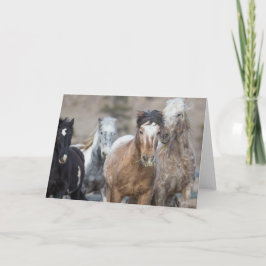 Fyra adoptioner - Prägling till frihetskvitto Kort