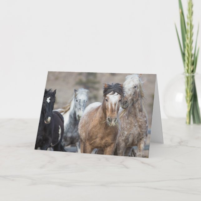 Fyra adoptioner - Prägling till frihetskvitto Kort (Framsida)