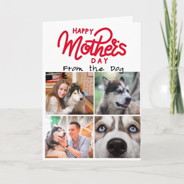 Fyra anpassningsbar för fotokollage för Husky Mamm Tack Kort (Framsida)