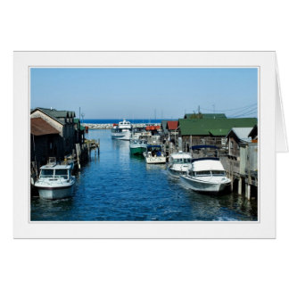 Fyra årstider i michigan 04-kort OBS kort