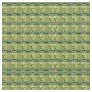 Fyra Bild Gräsmatta Bowls Photo Collage Tyg