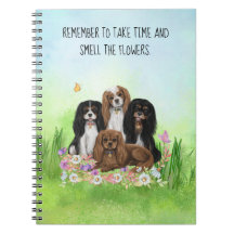 Fyra Cavalier Kung Charles spaneler i Flowers