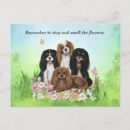 Fyra Cavalier Kung Charles spaneler i Flowers Vykort