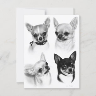 Fyra Chihuahuas Realistisk handmålade teckningar Vykort