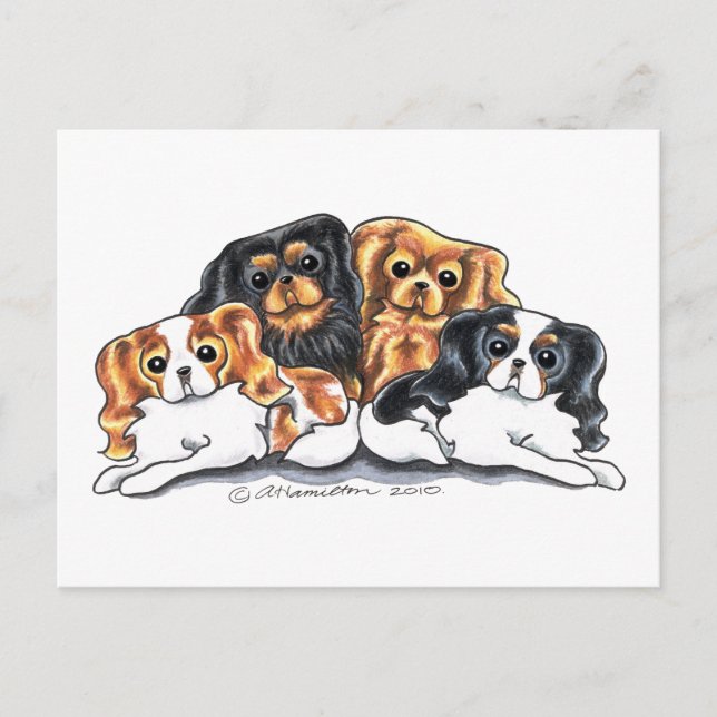 Fyra CKCS Vykort (Framsida)