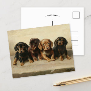 Fyra dachshundvalpar   Carl Reichert Vykort