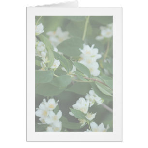 Fyra dollar hälsningskort