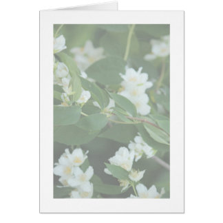 Fyra dollar hälsningskort