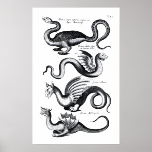 Fyra draktyper poster