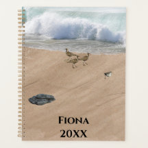 Fyra fåglar på en strand