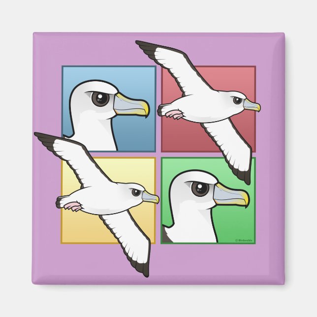 Fyra Färg Albatross Magnet (Framsidan)