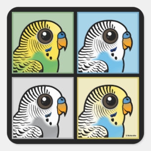 Fyra färg Budgies Fyrkantigt Klistermärke