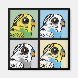 Fyra färg Budgies Magnet