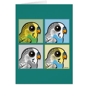 Fyra färg Budgies OBS Kort