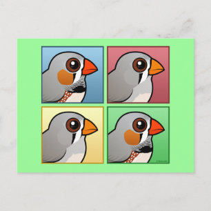 Fyra Färg Zebra Finch Vykort