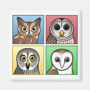 Fyra färgugglor (pastell) magnet