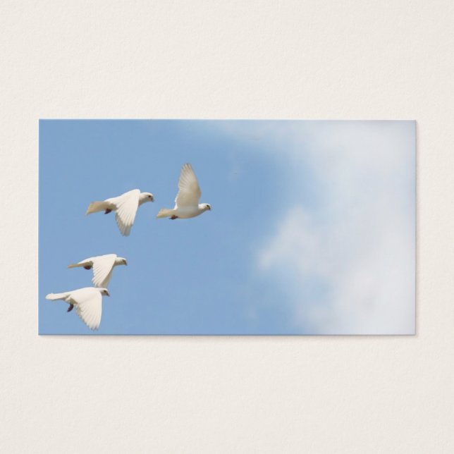 Fyra flygaduvor visitkort (Framsidan)