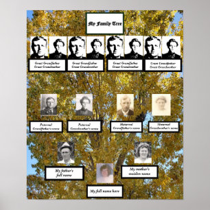 Fyra foton i Generation Fall Cottonwood Family Trä Poster