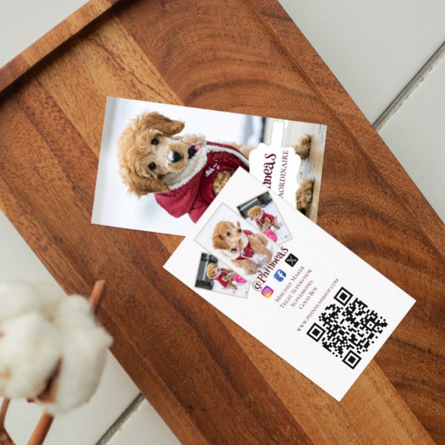 Fyra fotoPetfluencer Visitkort (Four Photo Petfluencer Business Card)