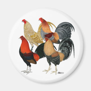 Fyra gamecockar magnet