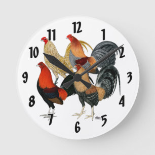 Fyra gamecockar rund klocka
