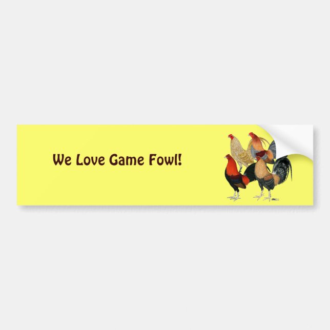 Fyra Gamecocks Bildekal (Framsidan)