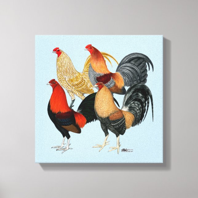 Fyra Gamecocks Canvastryck (Framsida)