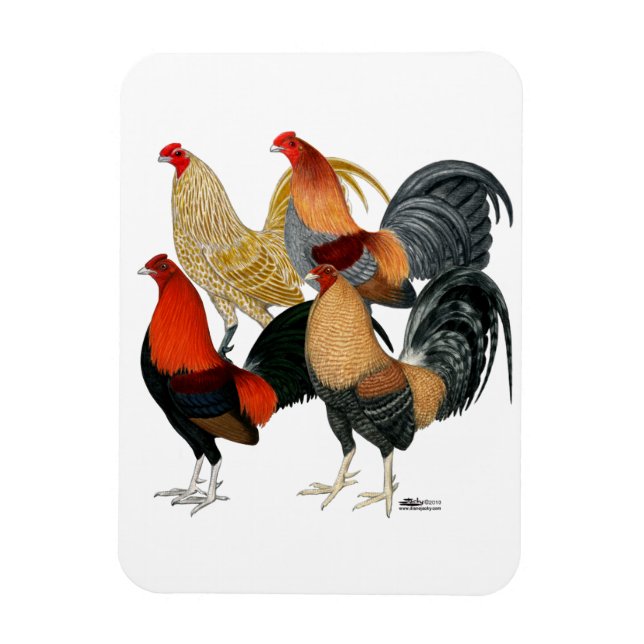Fyra Gamecocks Magnet (Vertikal)