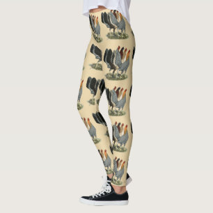 Fyra Gamefowl-höns Leggings