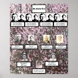 Fyra Generation Rosa Blommar Family Träd Poster