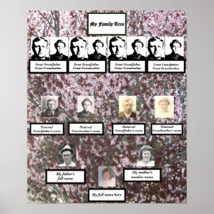 Fyra Generation Rosa Blommar Family Träd Poster