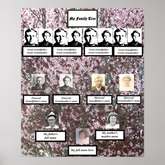 Fyra Generation Rosa Blommar Family Träd Poster (Framsidan)