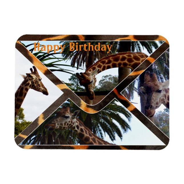 Fyra Giraffes på ett giraffkuvert, magnet (Horisontell)