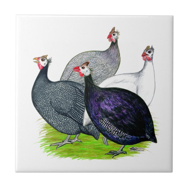 Fyra Guineas Kakelplatta (Framsidan)