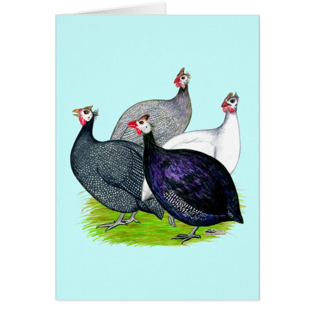 Fyra Guineas OBS Kort (Framsidan)