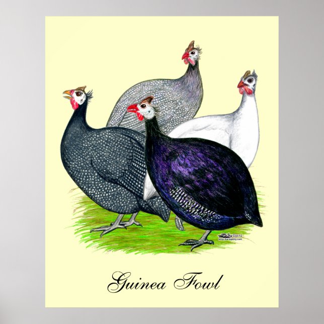 Fyra Guineas Poster (Framsidan)