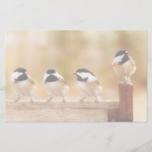 Fyra gulliga Chickadees Brevpapper